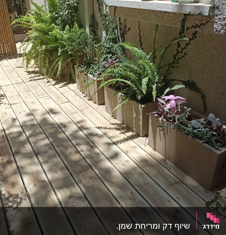 עציצים עם צמחים על רצפת עץ בגינה